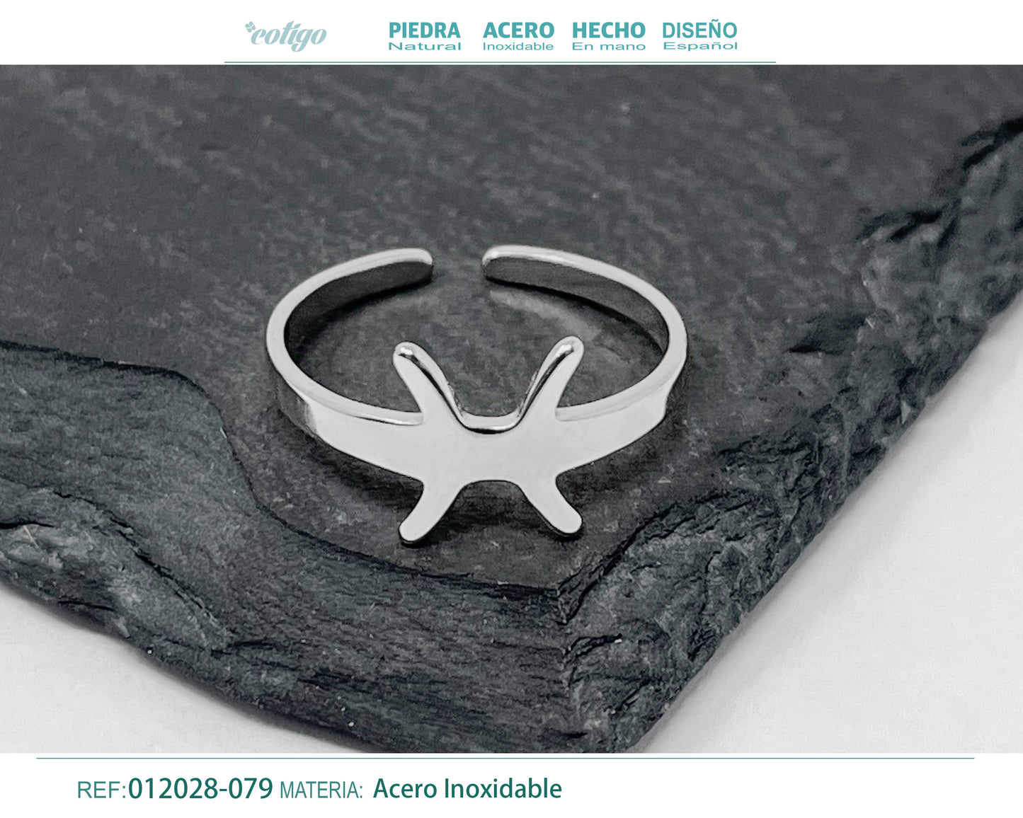 Anillo Acero Zodiaco color Plateado