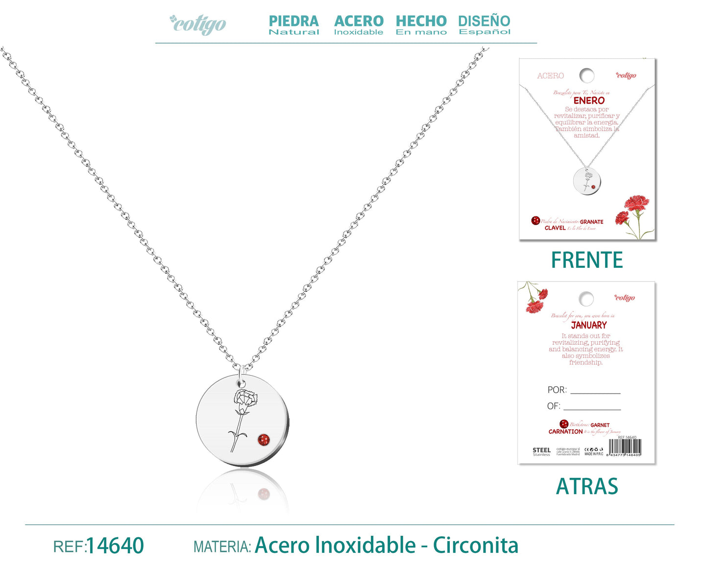14640-Collar Acero para Nacimiento de Enero Plateado