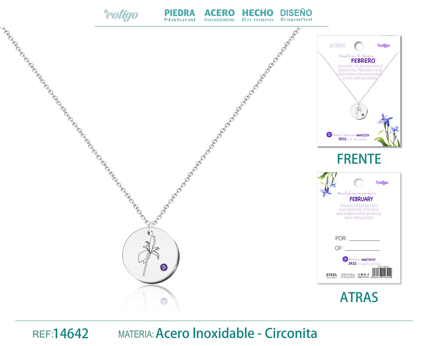 14642-Collar Acero para Nacimiento de Febrero Plateado