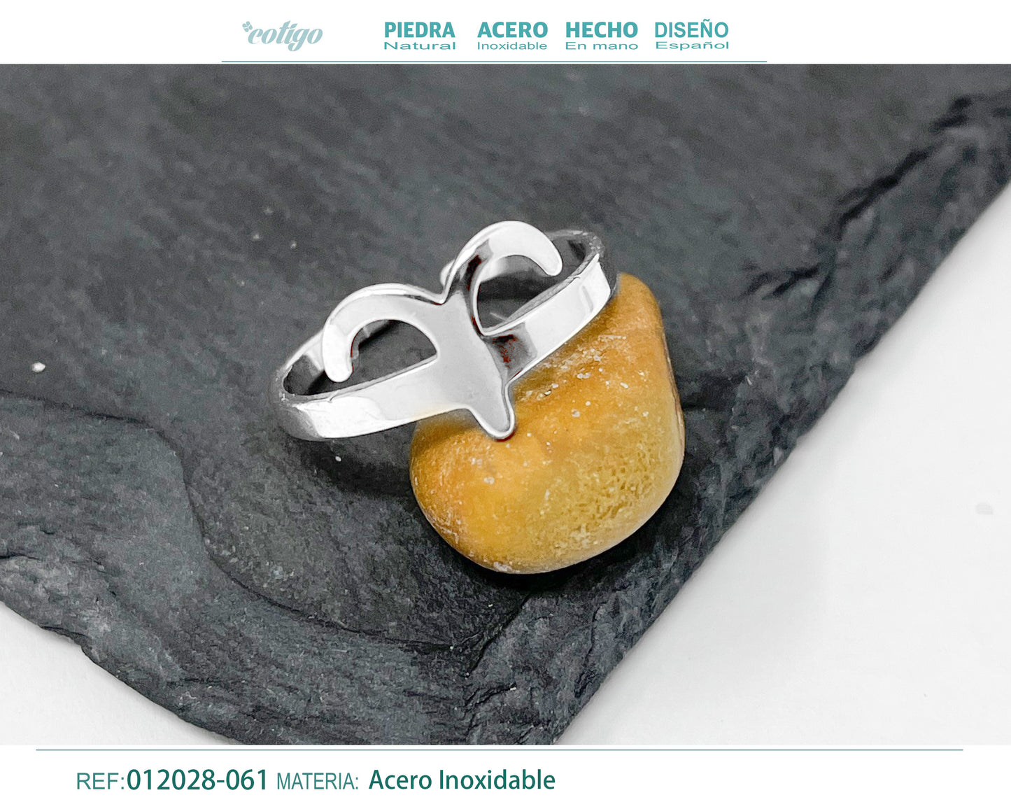 Anillo Acero Zodiaco color Plateado