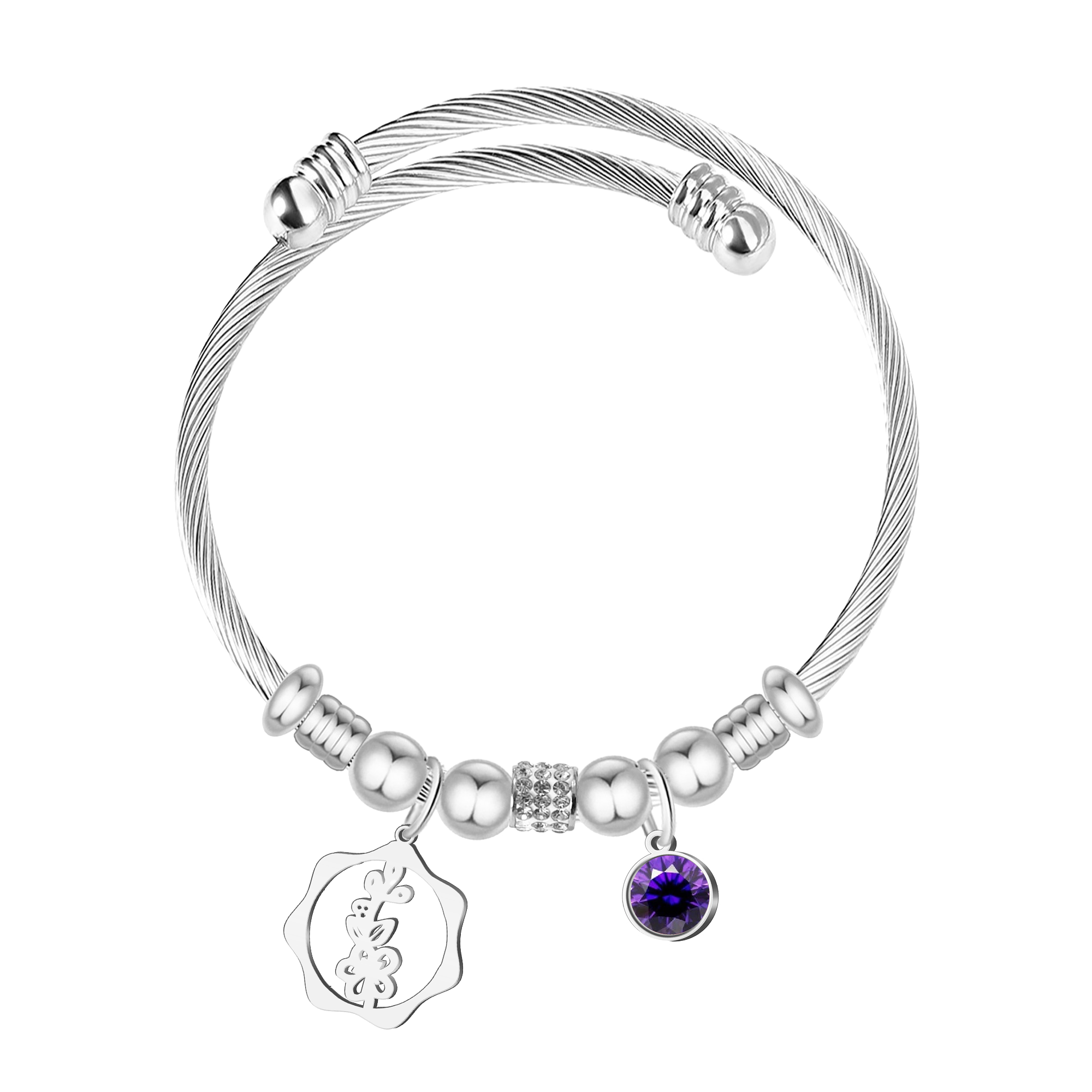 Brazalete Mes de Nacimiento en Acero