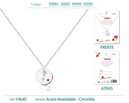 14640-Collar Acero para Nacimiento de Enero Plateado