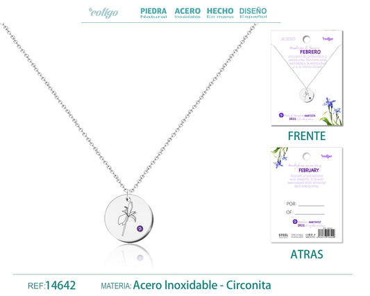 14642-Collar Acero para Nacimiento de Febrero Plateado
