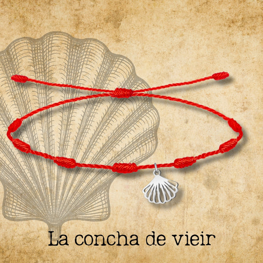 Pulsera 7 Nudos con La concha de vieir Acero Plateado