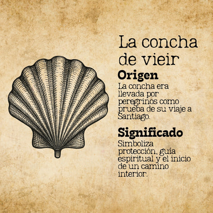 Colgante La concha de vieir Acero Plateado