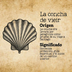 Pulsera 7 Nudos con La concha de vieir Acero Plateado - cotigo