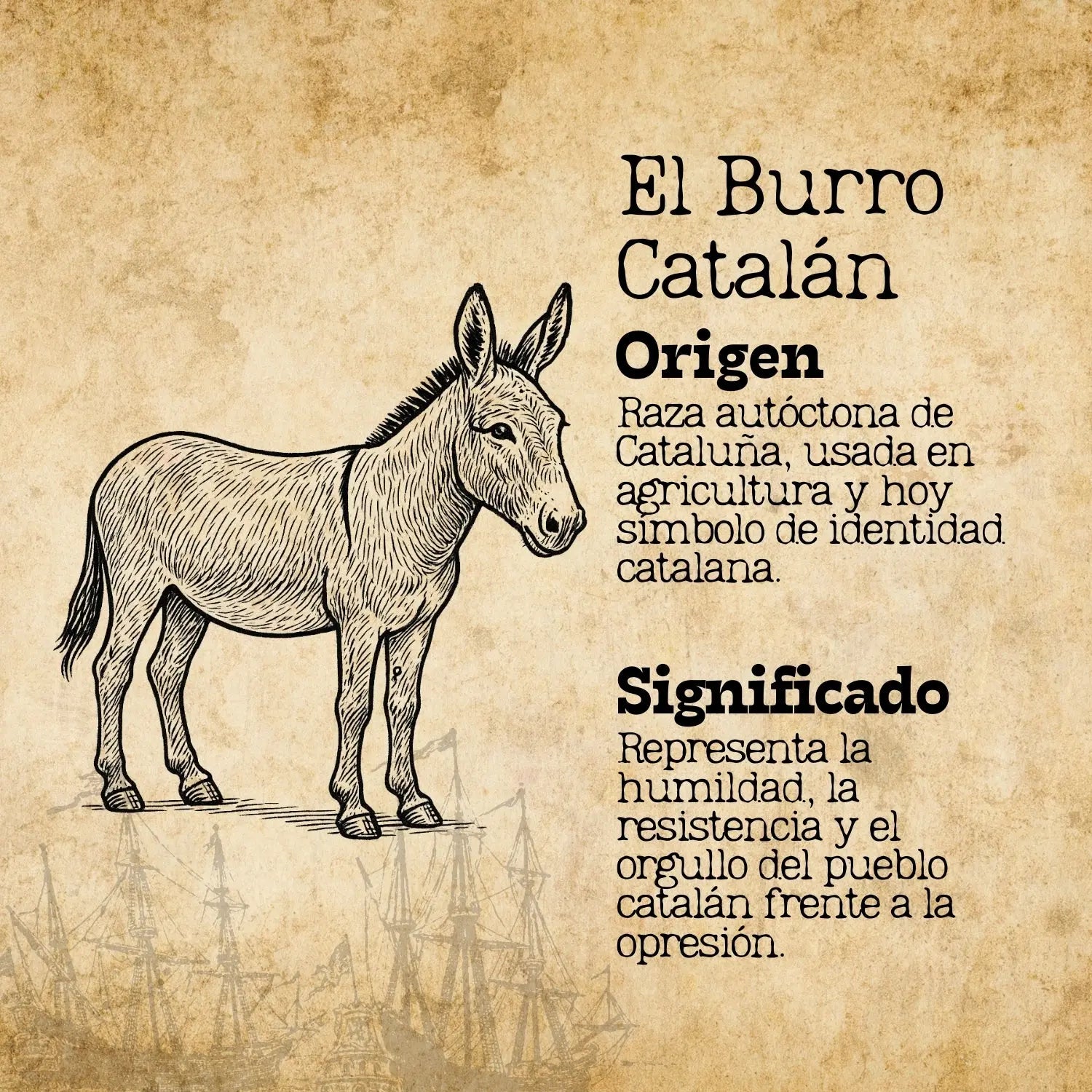 Colgante El Burro Catalán Acero Plateado - cotigo