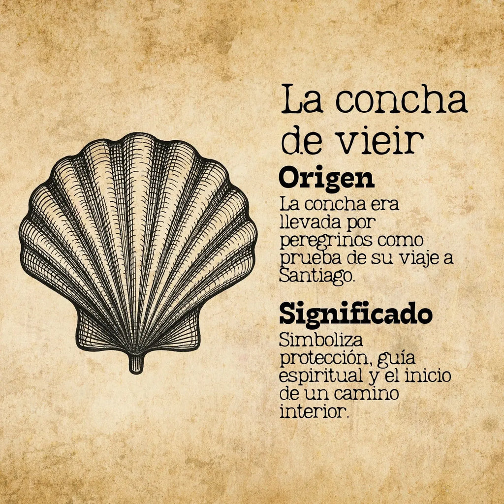 Colgante Acero La concha de vieir color Plateado - cotigo