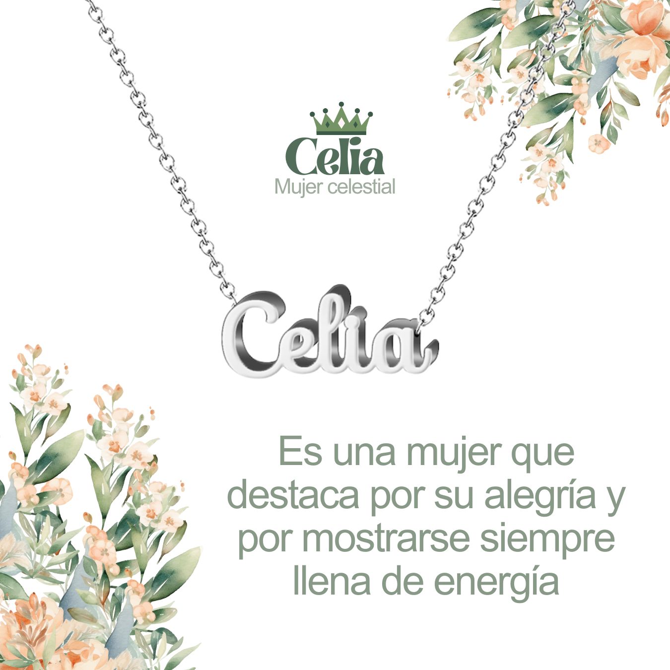 Collar con Nombre en Acero Inoxidable, Color Plateado, Incluye Tarjeta con el Significado de 60 Nombres + Caja de Regalo  y Pulsera 7 Nudos de Regalo