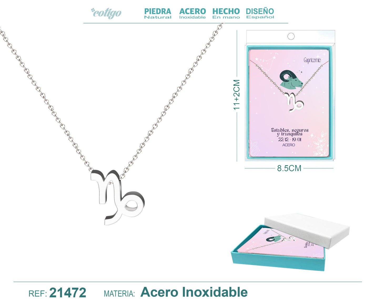 Collar Zodíaco Capricornio Acero color Plateado