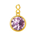 CHARM Acero Dorado con piedra Nacimiento de FEBRERO-con Cierre - cotigo
