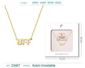 Collar Ingles para BFF Acero con Sobre - cotigo