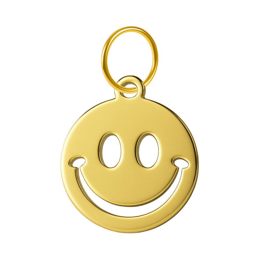 CHARM Acero Inoxidable color Dorado - cotigo