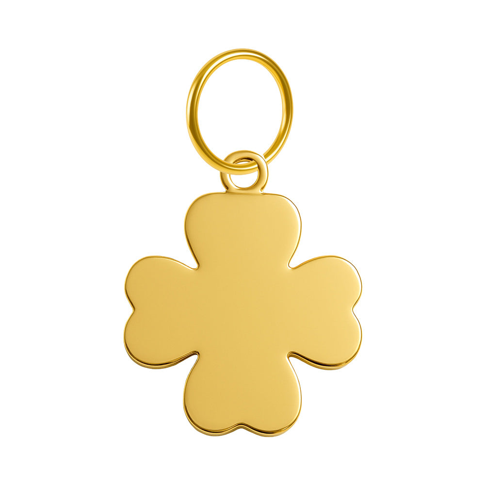 CHARM Acero Inoxidable color Dorado - cotigo