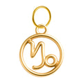CHARM de Zodíaco Capricórnio Acero color Dorado - cotigo