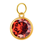 CHARM Acero Dorado con piedra Nacimiento de ENERO - cotigo