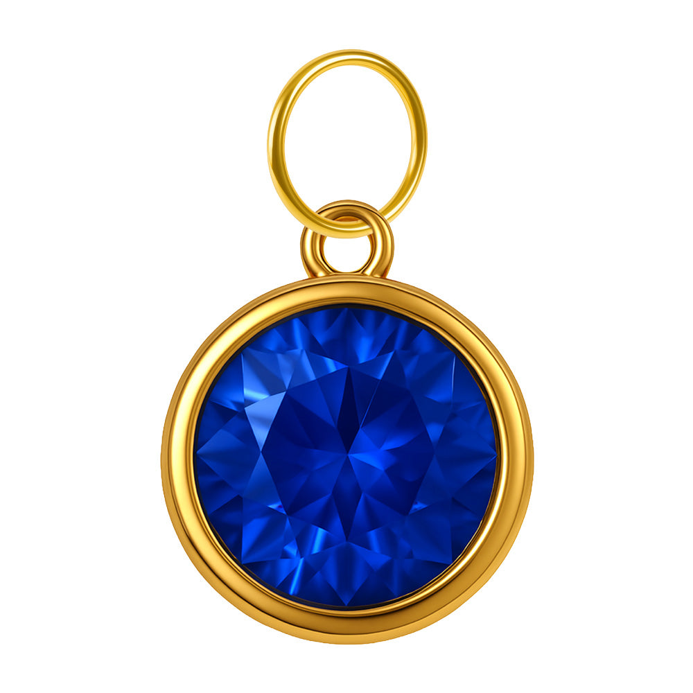 CHARM Acero Dorado con piedra Nacimiento de SEPTIEMPRE - cotigo