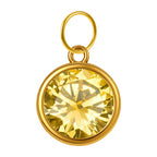 CHARM Acero Dorado con piedra Nacimiento de NOVIEMBRE - cotigo