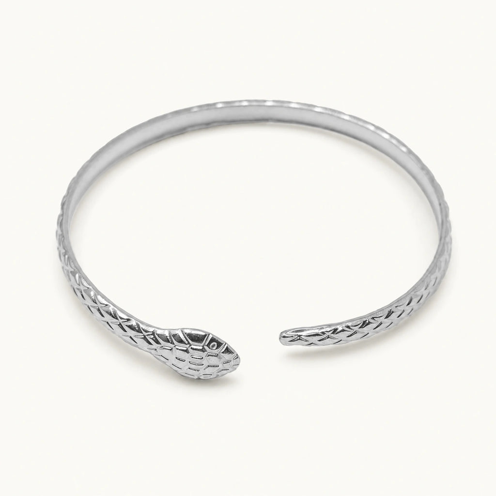 Brazalete Serpiente con Relieve en Acero Inoxidable - Plateado sobre fondo blanco
