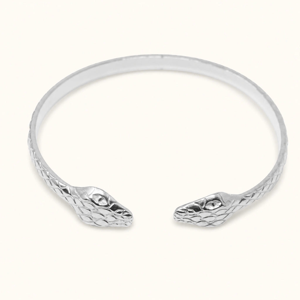 Brazalete Doble Serpiente en Acero Inoxidable - Plateado sobre fondo blanco