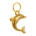 Charm colgante de delfín dorado con aro de acero