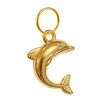 Charm colgante de delfín dorado con aro de acero