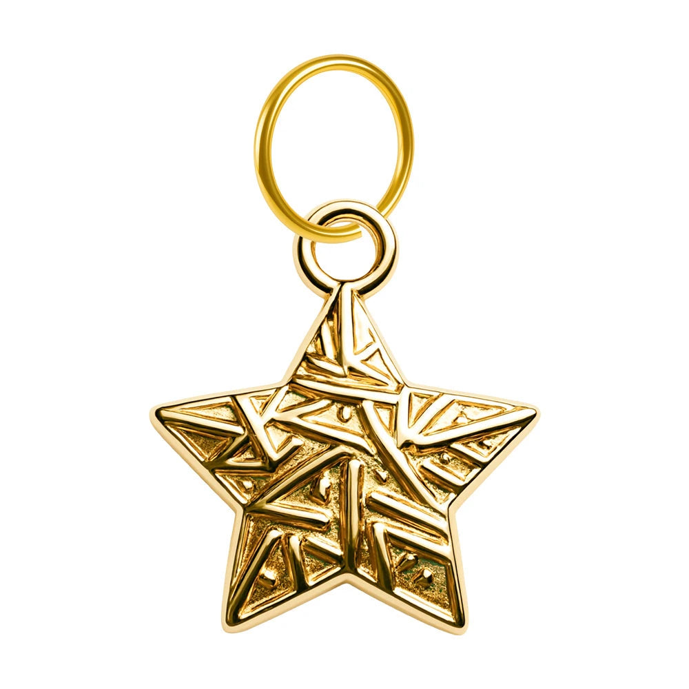 Charm Acero Dorado Chapado Oro 14K Estrella Calada Colgante