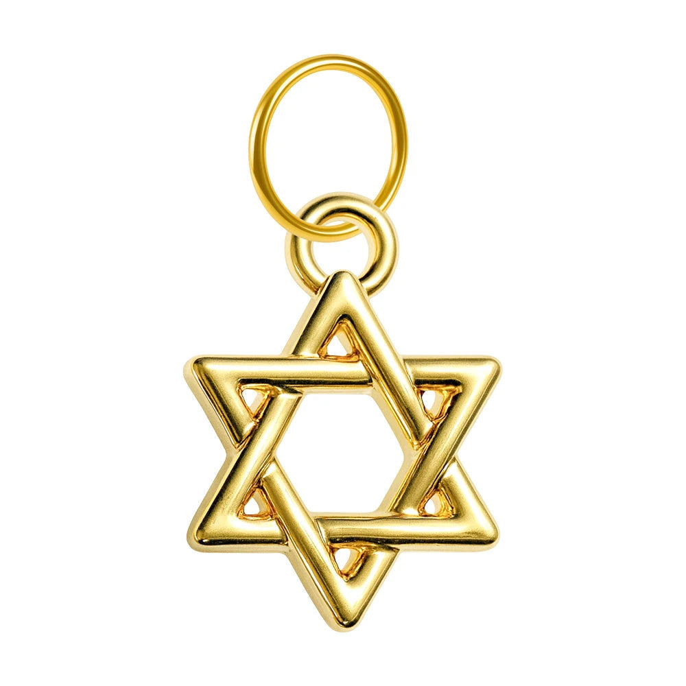 Charm Acero Dorado Chapado Oro 14K Estrella de David Colgante