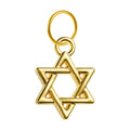 Charm Acero Dorado Chapado Oro 14K Estrella de David Colgante