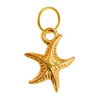 Charm colgante de estrella de mar dorada con aro de acero