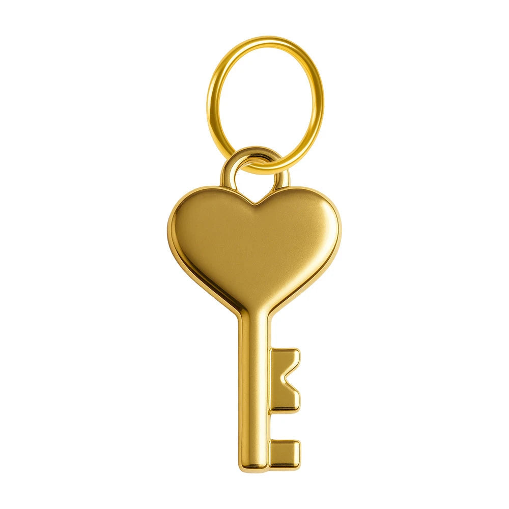 Charm Acero Dorado Chapado Oro 14K Llave Corazón Colgante