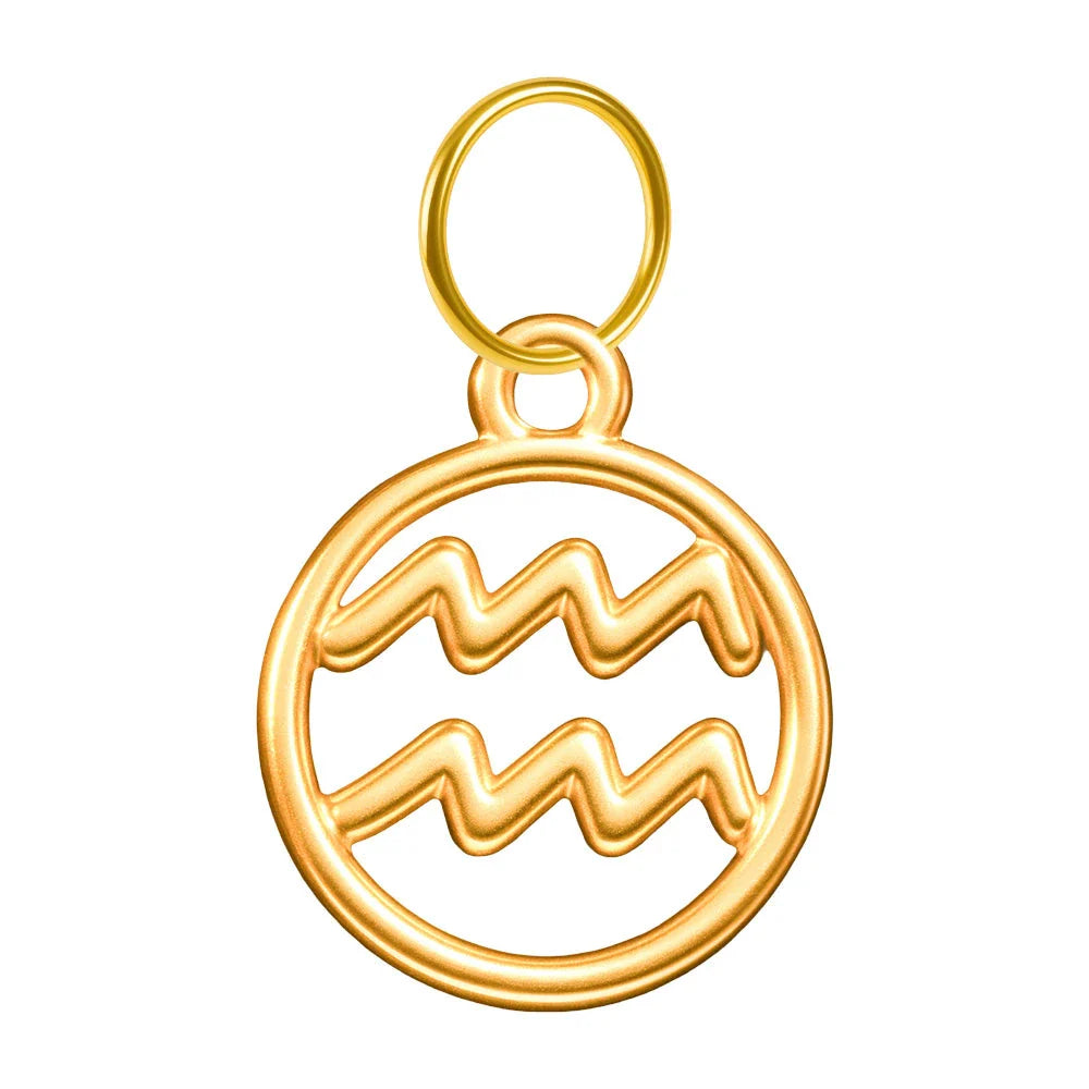 Charm Zodiaco Acero Dorado Colgante - Acuario - SKU 24039