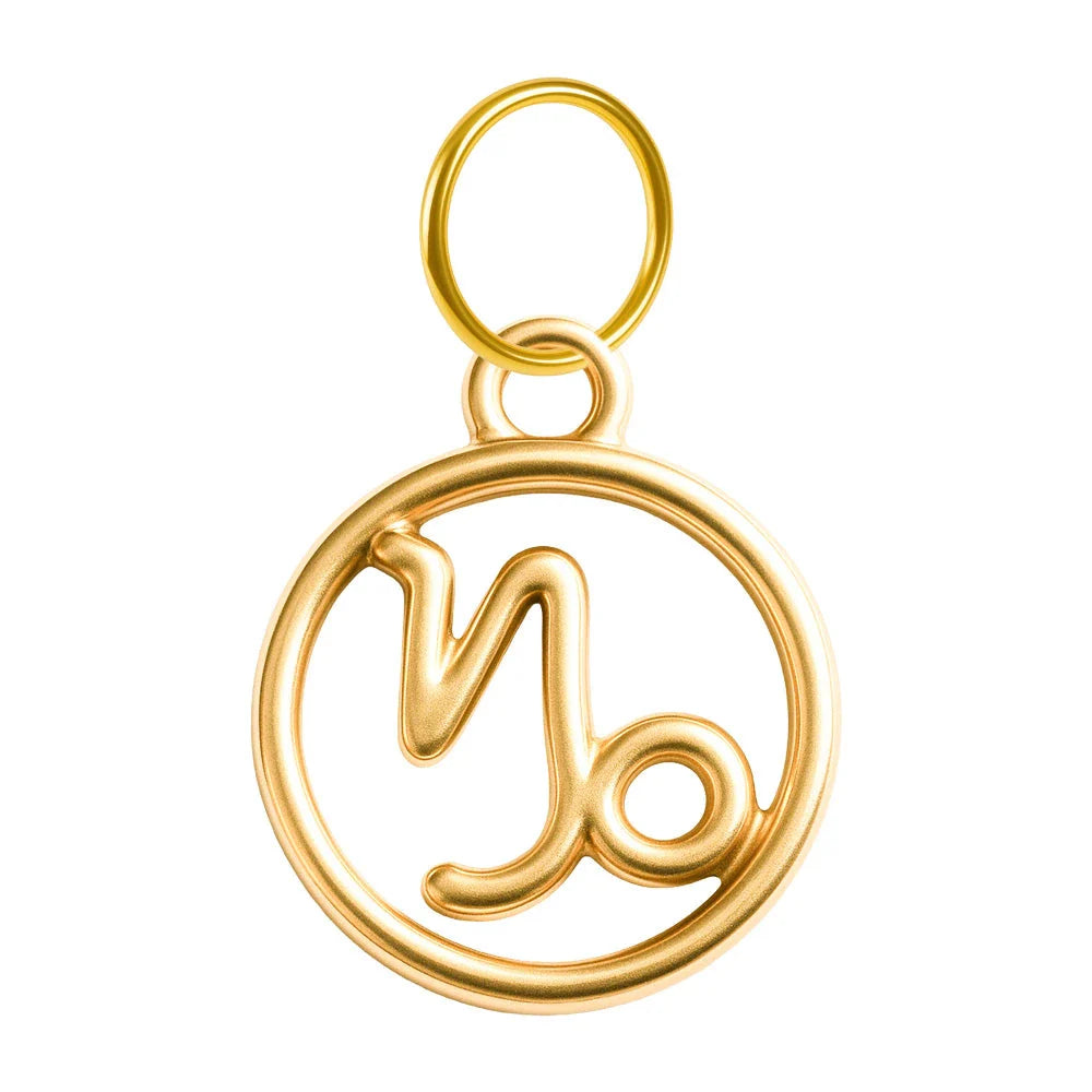 Charm Zodiaco Acero Dorado Colgante - Capricornio - SKU 24038