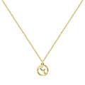 Collar Celedón en Acero Dorado