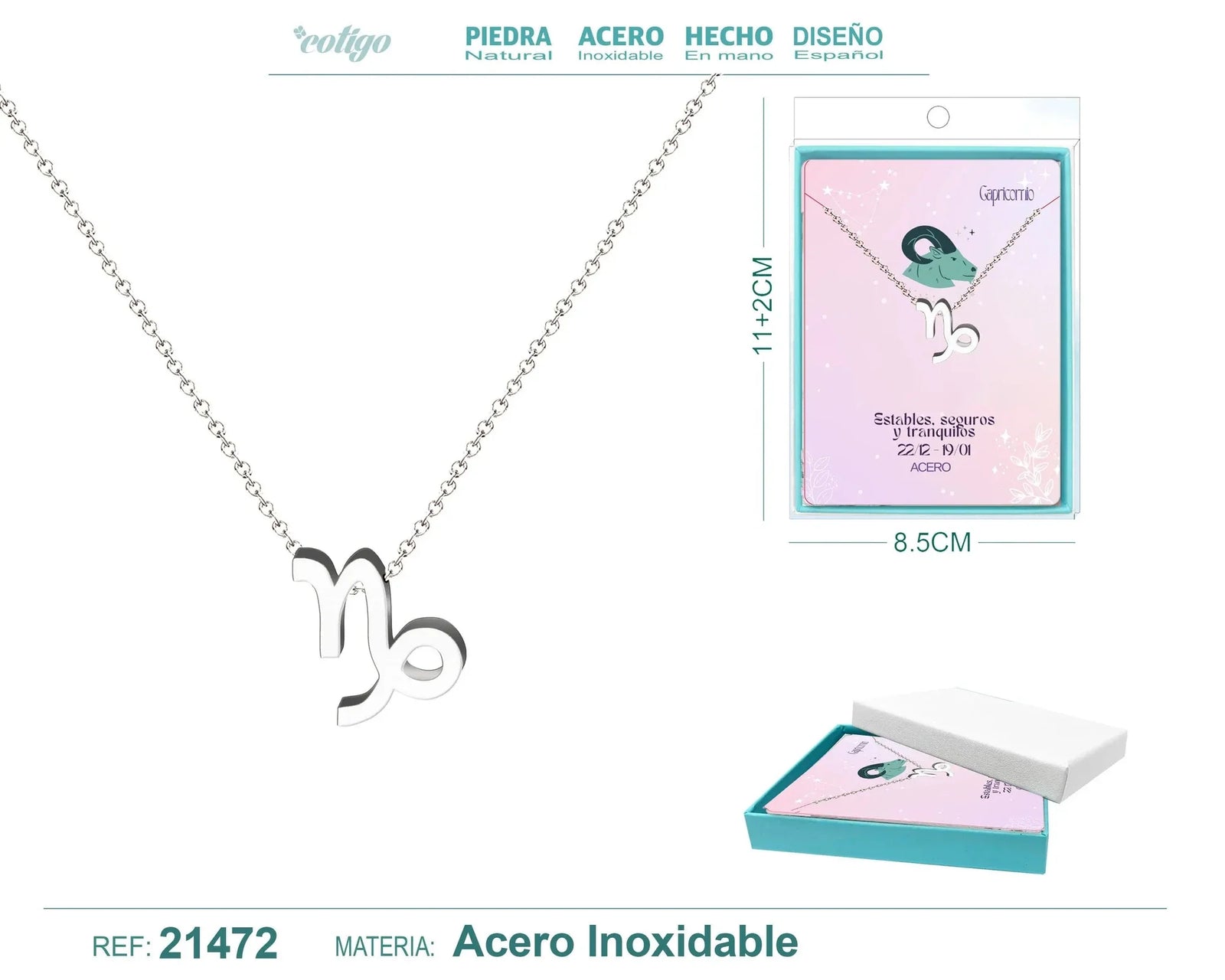 Collar Zodíaco Capricornio Acero Plateado
