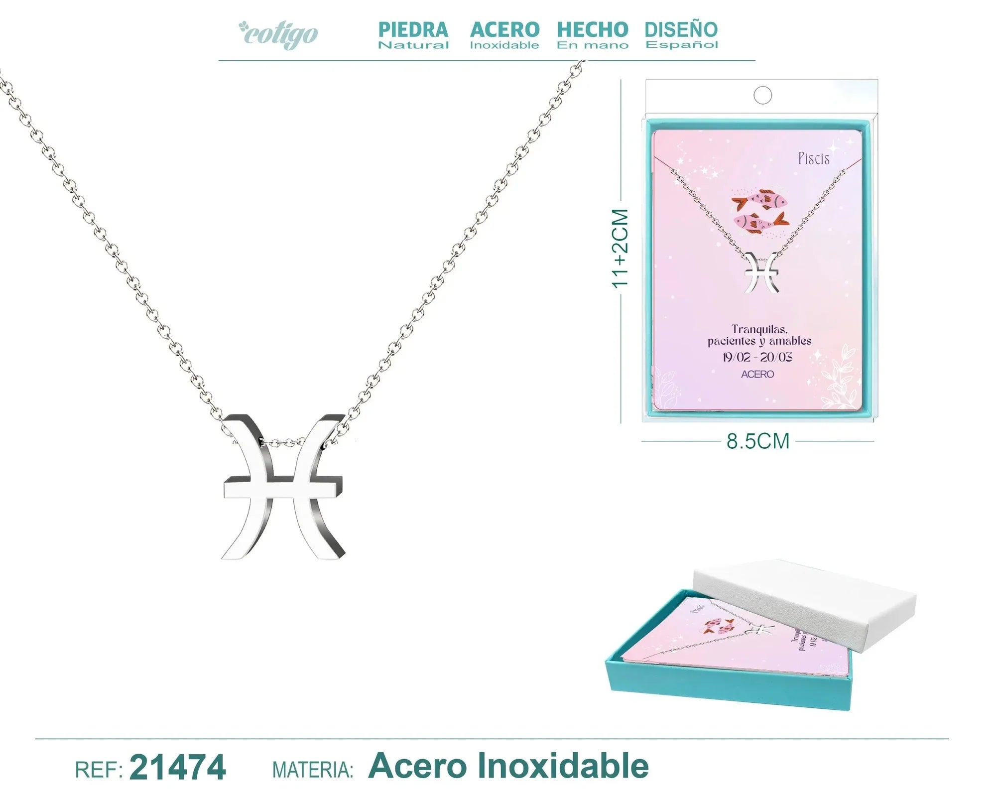 Collar Zodíaco Piscis Acero Plateado