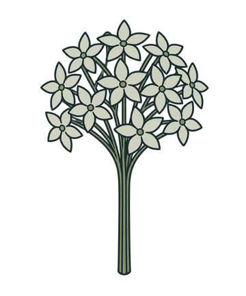 Biznaga