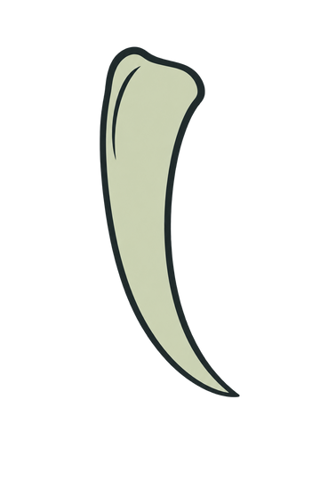 Colmillo