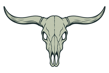 Cráneo de toro