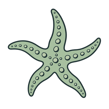 Estrella de mar