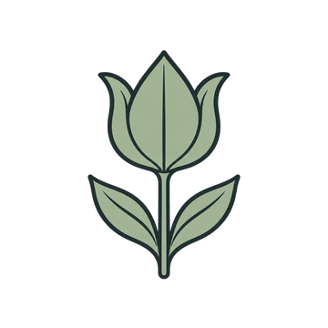 Tulipán